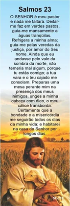 Marcador de Página - 5 x 15 cm - Com 50 unidades -