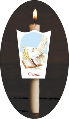 Protetor de Velas Crisma - Pacote com 50 Unidades -