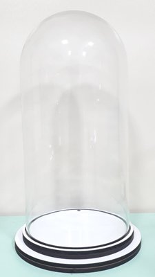 Cúpula de Vidro - 18,3 x 37 cm - Transparente -