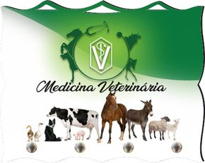 Porta Chaves com Imagem Fotográfica - Medicina Veterinária -