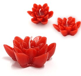 Vela Flutuante Flôr - Vitória Régea -