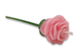 Botão de Rosa com Caule Perfumada - Grande - Refil -